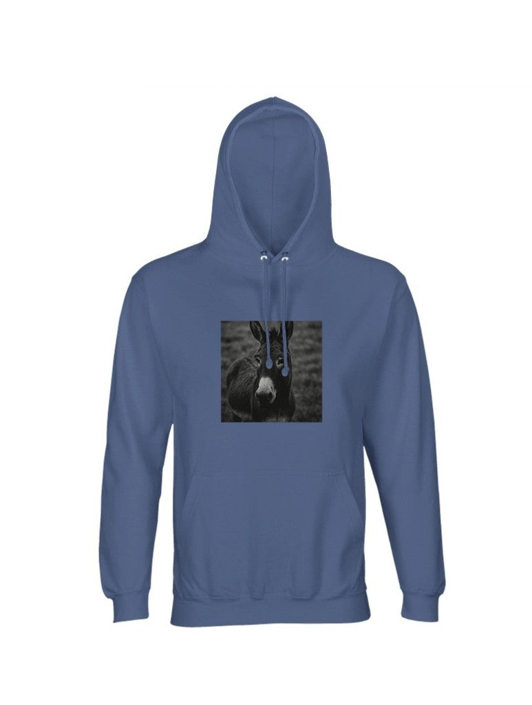 Hoodie "Astoa" regular fit