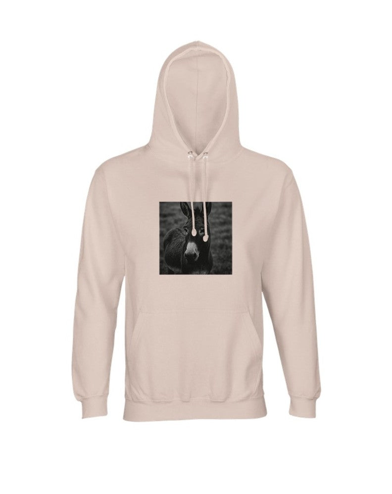 Hoodie "Astoa" regular fit