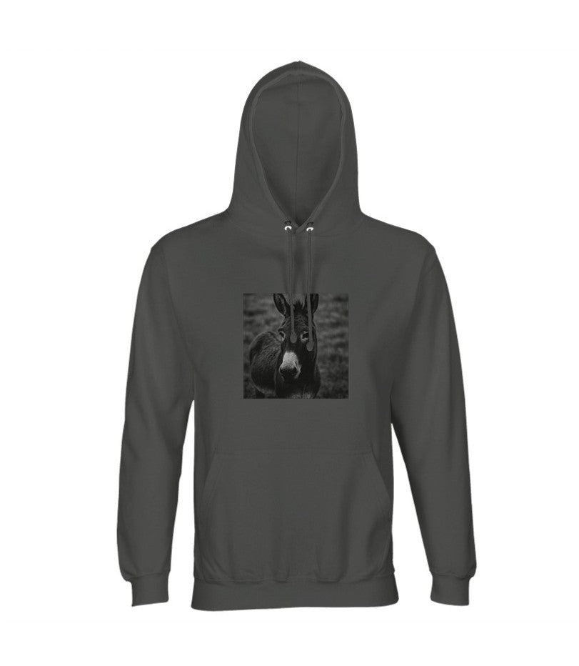 Hoodie "Astoa" regular fit