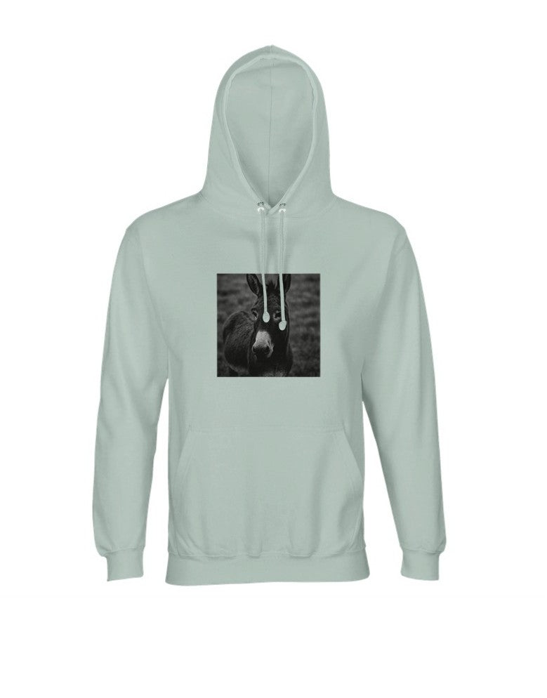 Hoodie "Astoa" regular fit