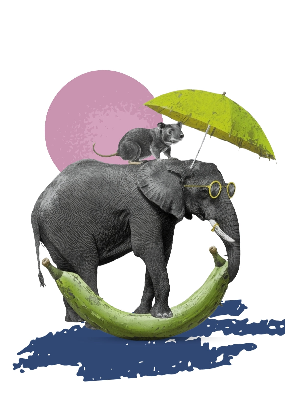 Camiseta kids "Elefante Martin"