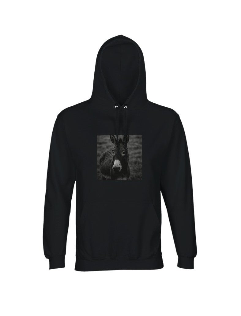 Hoodie "Astoa" regular fit