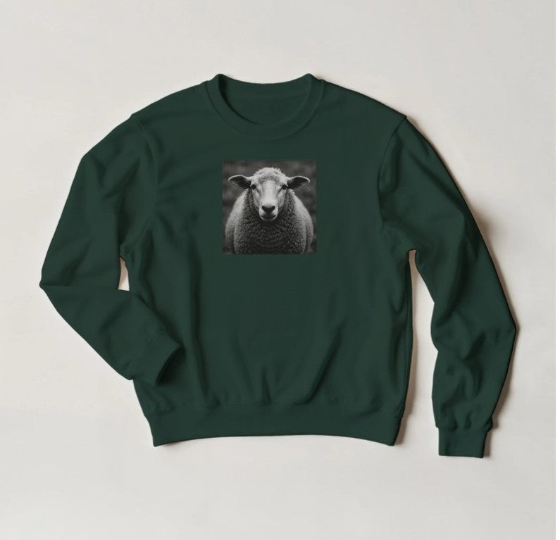 Sudadera "Ardia" regular fit
