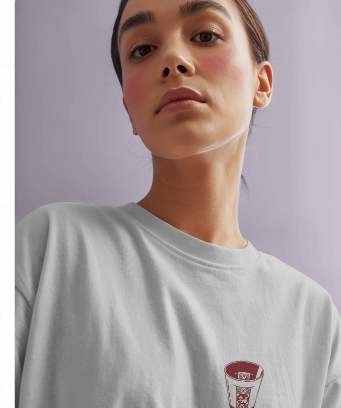 Camiseta "Hits"